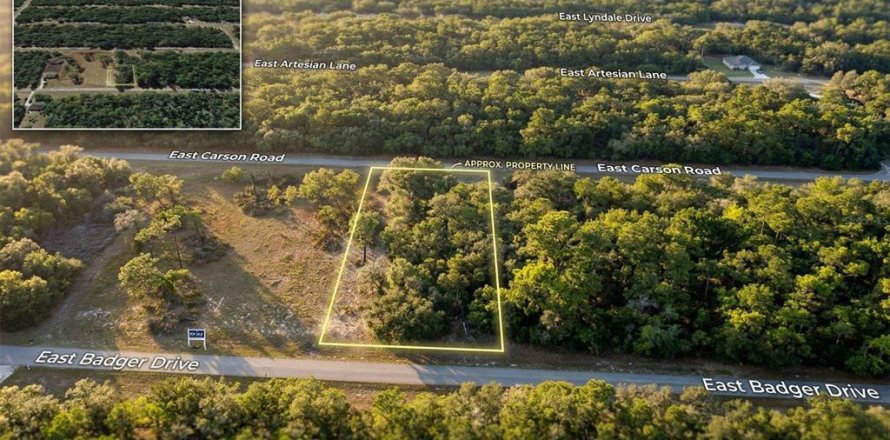 Land in Dunnellon, Florida № 2161599
