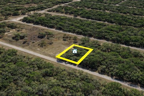 Land in Dunnellon, Florida № 2161599 - photo 2
