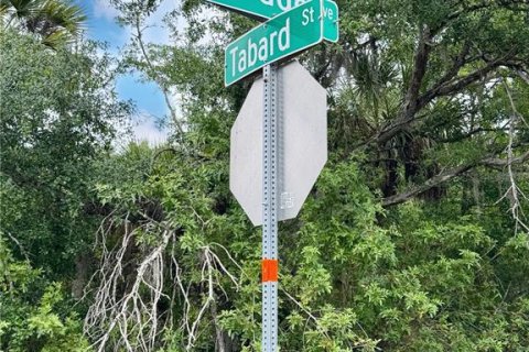Land in Port Charlotte, Florida № 2165846 - photo 2
