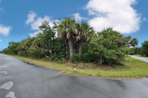 Land in Port Charlotte, Florida № 2165846 - photo 6