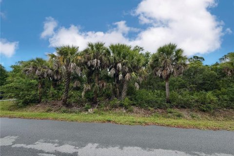 Land in Port Charlotte, Florida № 2165846 - photo 8