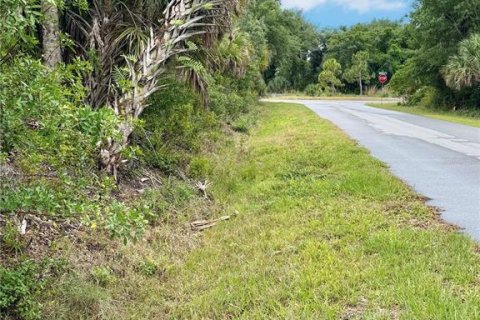 Land in Port Charlotte, Florida № 2165846 - photo 15