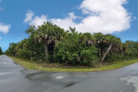 Land in Port Charlotte, Florida № 2165846