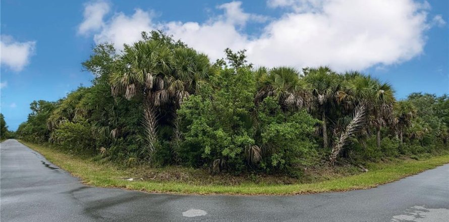 Land in Port Charlotte, Florida № 2165846
