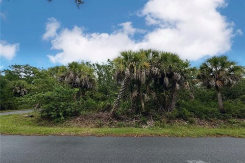 Land in Port Charlotte, Florida № 2165846 - photo 3