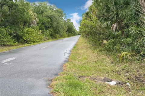 Land in Port Charlotte, Florida № 2165846 - photo 12