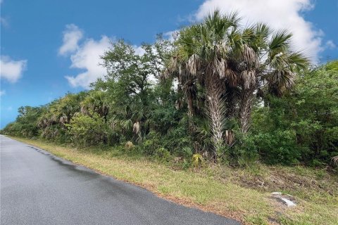 Land in Port Charlotte, Florida № 2165846 - photo 11