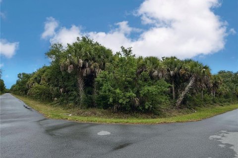 Land in Port Charlotte, Florida № 2165846 - photo 4