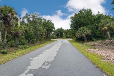 Land in Port Charlotte, Florida № 2165846 - photo 17