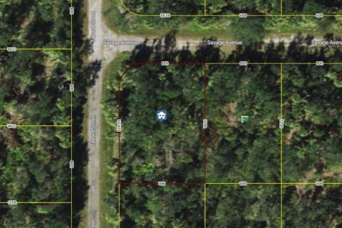 Land in Port Charlotte, Florida № 2165846 - photo 18