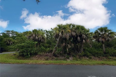 Land in Port Charlotte, Florida № 2165846 - photo 10