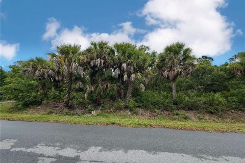 Land in Port Charlotte, Florida № 2165846 - photo 7
