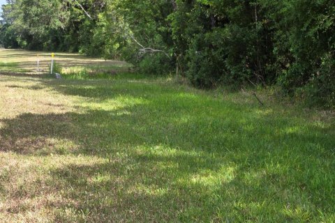 Land in Bunnell, Florida № 1246434 - photo 5