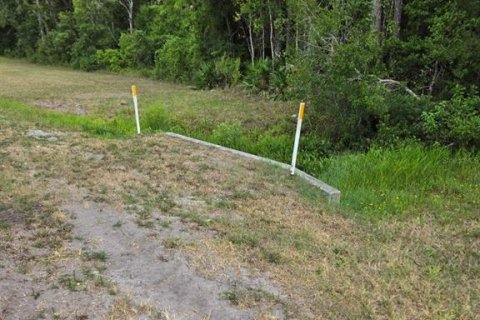 Land in Bunnell, Florida № 1246434 - photo 7
