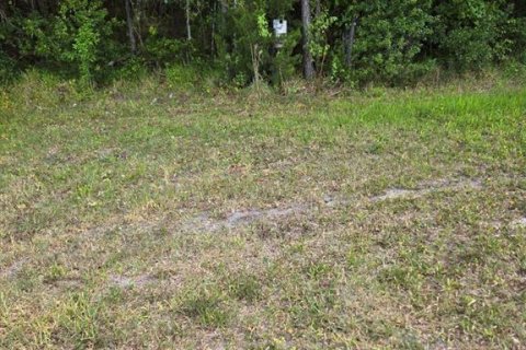 Land in Bunnell, Florida № 1246434 - photo 6