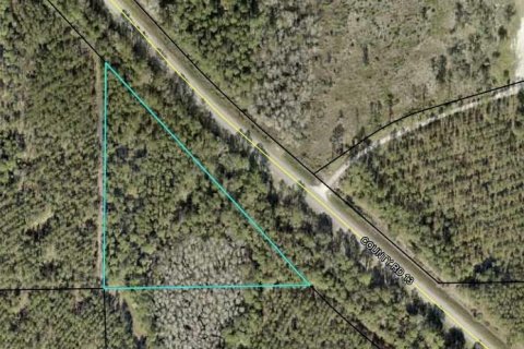Land in Bunnell, Florida № 1246434 - photo 2