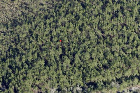 Land in Jacksonville, Florida № 1643111 - photo 1