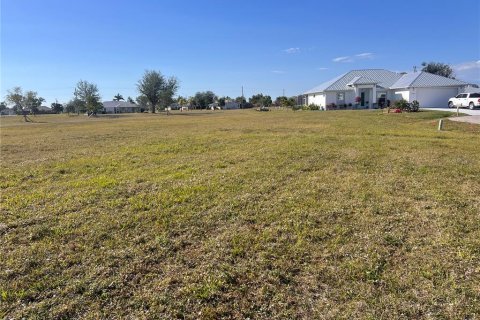 Land in Punta Gorda, Florida № 1512939 - photo 3