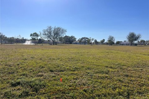 Land in Punta Gorda, Florida № 1512939 - photo 4