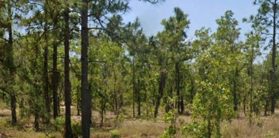 Land in Hawthorne, Florida № 2159694