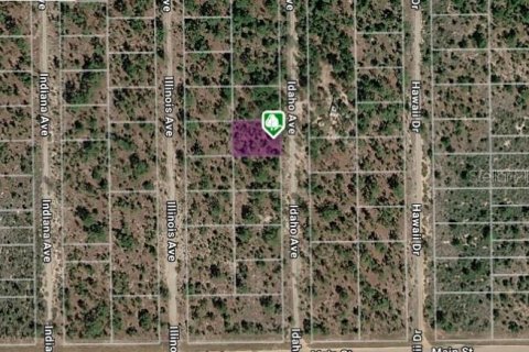 Land in Hawthorne, Florida № 2159694 - photo 6