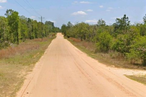 Land in Hawthorne, Florida № 2159694 - photo 2