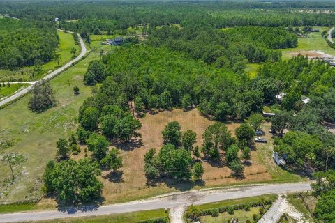 Land in Clermont, Florida № 1733250 - photo 2