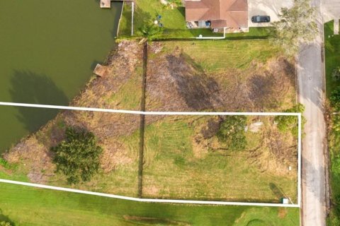 Land in Holiday, Florida № 1915150 - photo 3