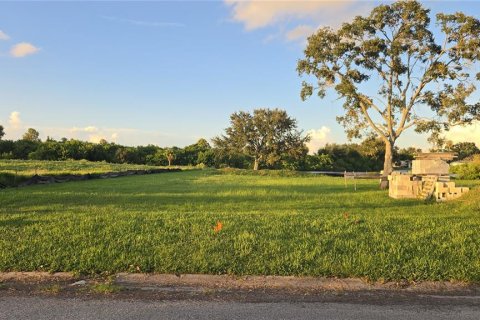 Land in Holiday, Florida № 1915150 - photo 1