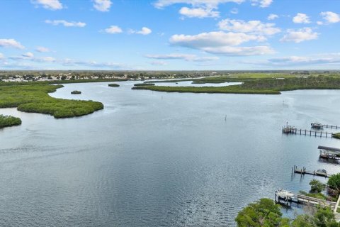 Villa ou maison à vendre à Bradenton, Floride: 5 chambres, 388.52 m2 № 2418519 - photo 8