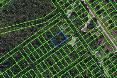 Land in Lake Placid, Florida № 2162698