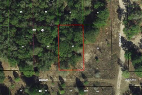 Land in Inverness, Florida № 2341752