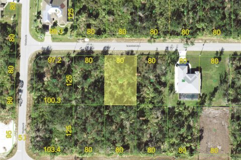Terreno en Port Charlotte, Florida № 2201726