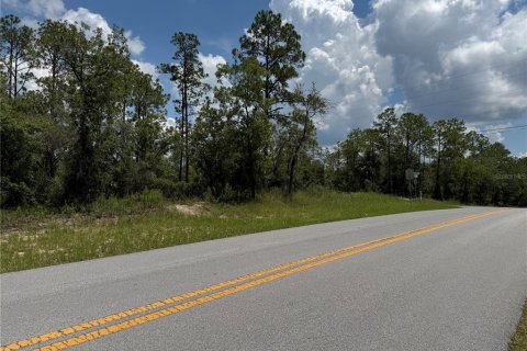 Land in Dunnellon, Florida № 2162394