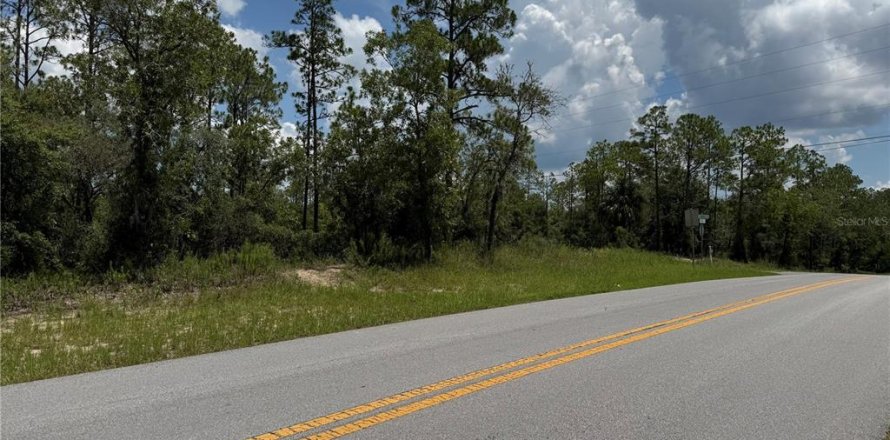Land in Dunnellon, Florida № 2162394