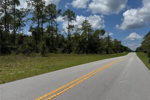 Land in Dunnellon, Florida № 2162394 - photo 7