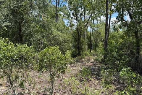 Land in Dunnellon, Florida № 2162394 - photo 6