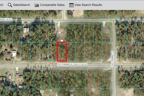 Land in Dunnellon, Florida № 2162394 - photo 3