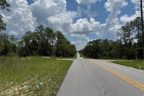 Land in Dunnellon, Florida № 2162394 - photo 2