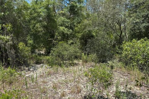 Land in Dunnellon, Florida № 2162394 - photo 5