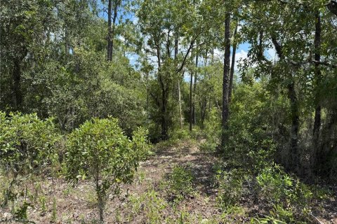 Land in Dunnellon, Florida № 2162394 - photo 4