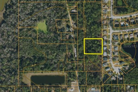 Land in Deltona, Florida № 2167281