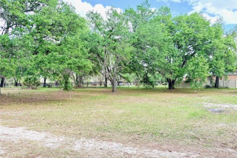 House in Plant City, Florida 5 bedrooms, 283.63 sq.m. № 2166475 - photo 3