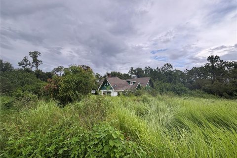 House in Fort Meade, Florida 3 bedrooms, 200.67 sq.m. № 1884908 - photo 4
