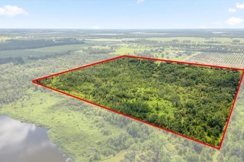 House in Fort Meade, Florida 3 bedrooms, 200.67 sq.m. № 1884908 - photo 18