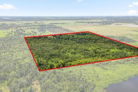 House in Fort Meade, Florida 3 bedrooms, 200.67 sq.m. № 1884908 - photo 19