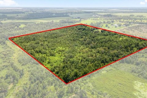 House in Fort Meade, Florida 3 bedrooms, 200.67 sq.m. № 1884908 - photo 29