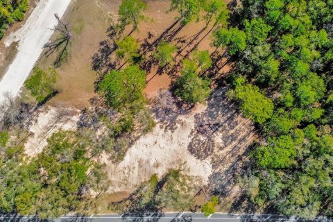Terreno en venta en Ocala, Florida № 1540359 - foto 5