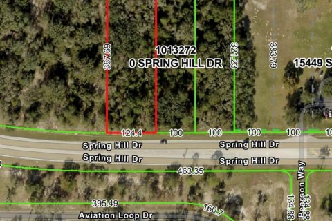 Land in Brooksville, Florida № 1847503 - photo 1