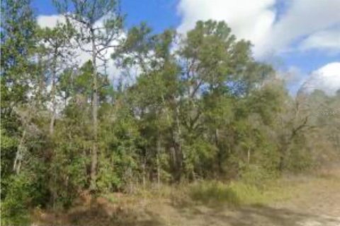 Land in Brooksville, Florida № 1847503 - photo 5